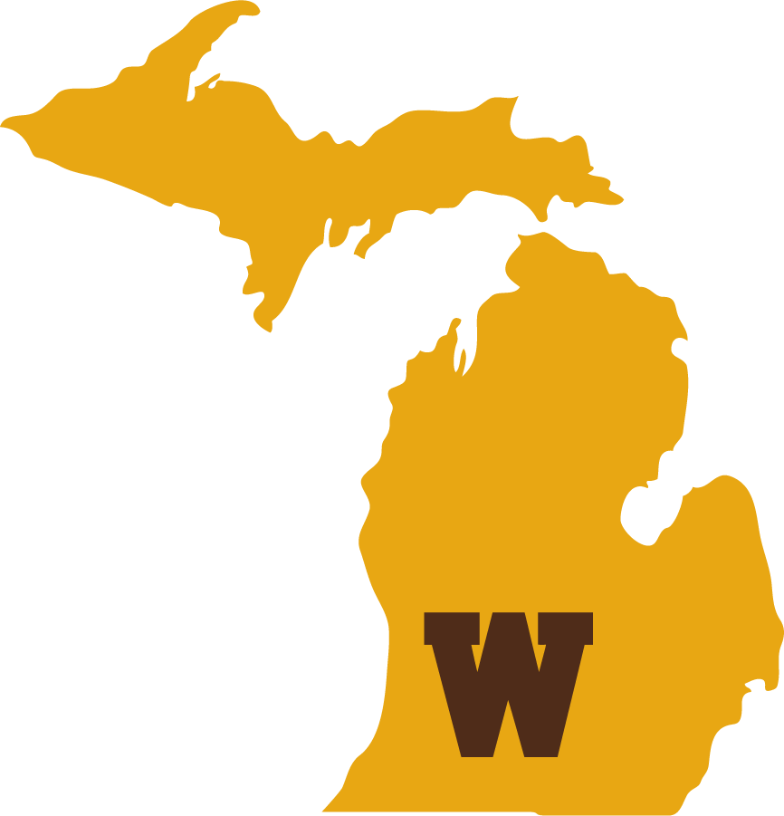 Western Michigan Broncos 2020-2021 Secondary Logo diy iron on heat transfer